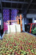 Dolavs 30多年力证其产品长寿耐用